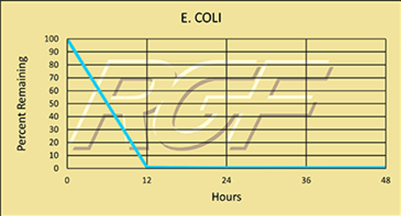 Bacteria - E. coli Pathogenic Escheria Coli – Bacteria - Graph