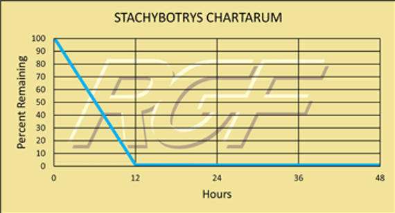 Testing Summary: 99+% Inactivation of Stachybotrys Chartarum (Black Mold)