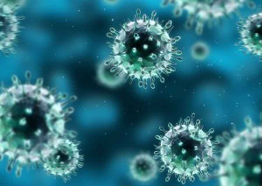 Virus - H1N1-Flu